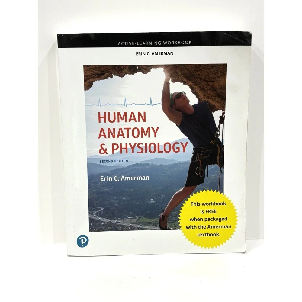 Human Anatomy & Physiology Active-Learning Workbook 2nd Ed Erin C. Amerman